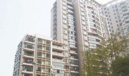 龙兴嘉苑爆料案件最新情况,疑点重重，真相渐明