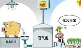 余姚倒粪站爆料案件最新,揭开环境污染背后的黑幕