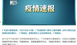 布鲁可第11代最新爆料,颠覆性升级，引领智能玩具新潮流”