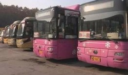 新乡公交车爆料新闻最新,乘客紧急疏散！