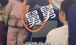 最新舅舅爆料视频大全,揭秘娱乐圈幕后真相