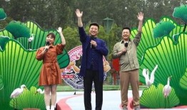 宁晋爆料新闻最新视频,最新视频揭露惊人内幕