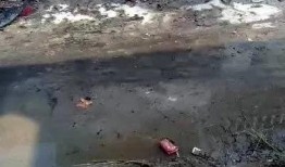 焦作武陟爆料事件最新,真相揭开，网络舆论漩涡中的法律与道德较量