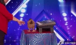 魔术最新爆料,神秘魔术师背后的惊人秘密