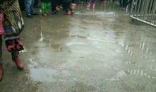 江苏沛县爆料事件最新消息,最新进展及影响揭秘