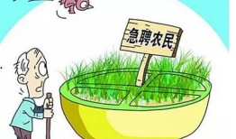 种地收益现状最新爆料,收益现状与未来展望