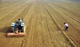 种地收益现状最新爆料,收益现状与未来展望