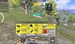 和平精英僚机最新爆料,神秘功能即将上线，游戏体验再升级！