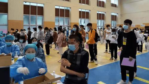 襄阳建桥最新爆料消息新闻,揭秘神秘桥梁背后的故事