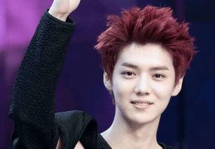 鹿晗最新小料爆料微博,最新动态曝光，粉丝惊喜连连