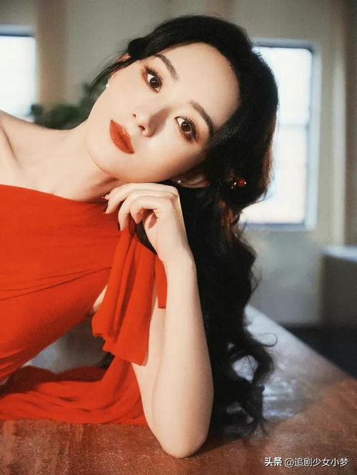 最新爆料顶流女星,美貌与才华并存的璀璨之星